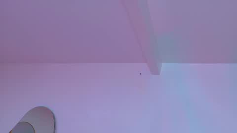 Snapshot of chaneladamss_ chatting on 11.03.25 C H A N E L online show from 11.03.25