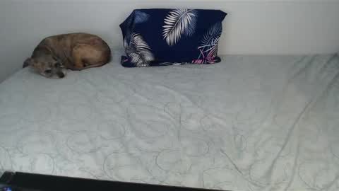 Snapshot of chanelsexyy chatting on 12.10.24 Viviana 3 online show from 12.10.24