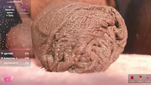 Snapshot of charlottelaurent chatting on 03.10.25 Char online show from 03.10.25