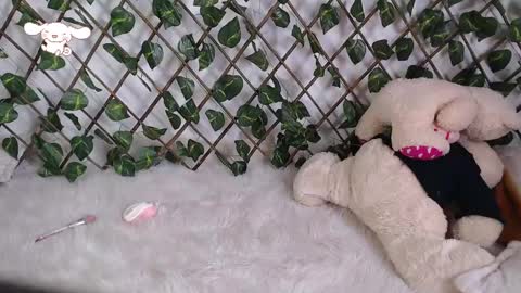 charly_evans60 online show from 02.24.25