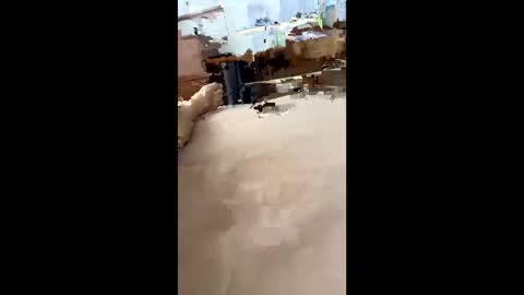 chasejase20333 online show from 12.16.24