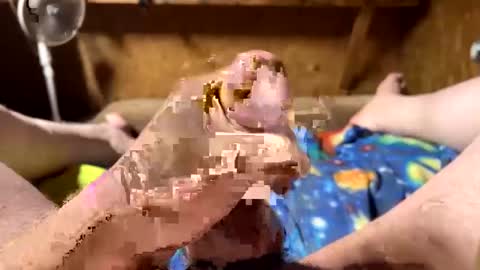 Snapshot of chasepeewee2 chatting on 02.16.25 chasepeewee2 online show from 02.16.25