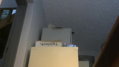 Snapshot of chaturbatordeluxe chatting on 11.17.25 chaturbatordeluxe online show from 11.17.25