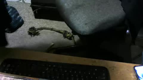 chefy online show from 11.10.25