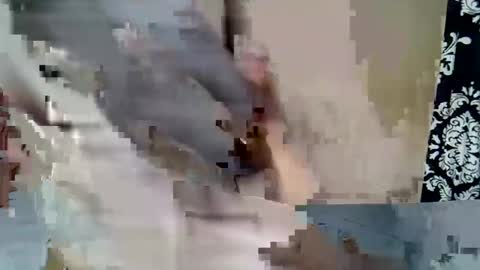 Keve Meddy online show from 02.23.26