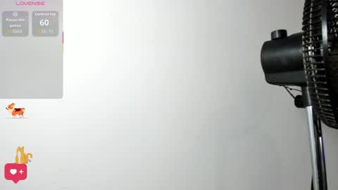 Samy Perez online show from 02.22.26