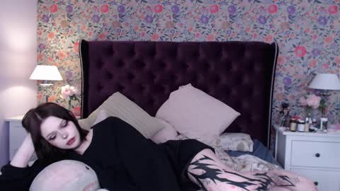 amelia online show from 12.14.24