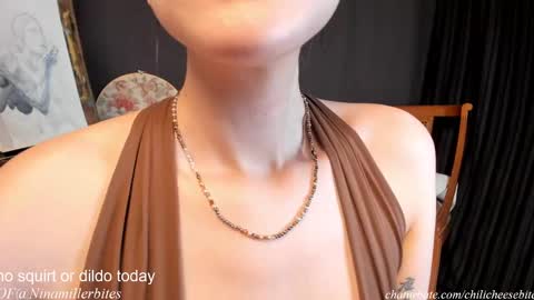 Snapshot of chilicheesebite chatting on 02.22.25 Nina online show from 02.22.25