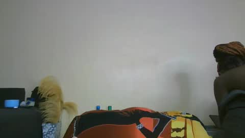 nei online show from 01.31.25