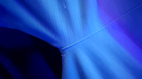 chronicvibez online show from 03.01.26