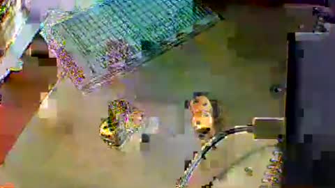 chubbyboy1986 online show from 10.17.25