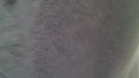 chubbycub14 online show from 02.07.26