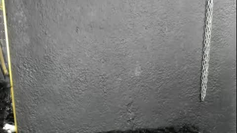 cintyarose online show from 02.26.26