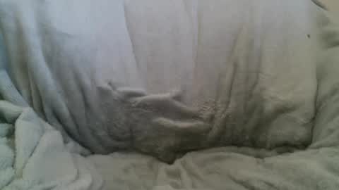 circumsizedbandit online show from 02.10.25