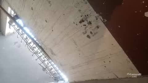 Circumsised Bull online show from 01.13.26