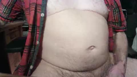 Circus Bear online show from 10.22.25