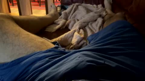 Cjd32 online show from 12.13.24