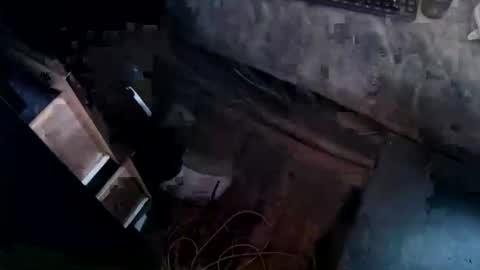 cj_wunderlust online show from 11.04.25