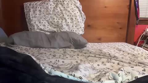 cjallday1424 online show from 03.03.25