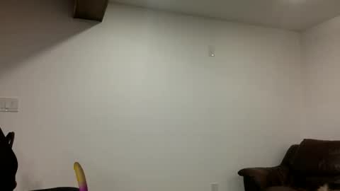 Clarke Cock online show from 03.21.26