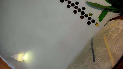 Amanda trans red one  Anna Girl black one online show from 01.12.26