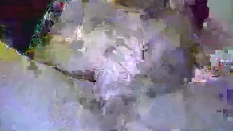 cmkiley50 online show from 05.07.26