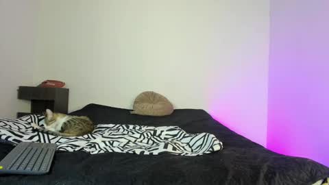 Snapshot of coddy_fit chatting on 11.16.25 cody online show from 11.16.25