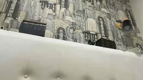 colambus83 online show from 03.08.26