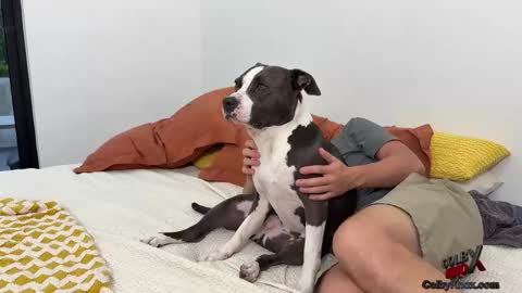 Snapshot of colbyknox chatting on 11.04.25 colbyknox online show from 11.04.25