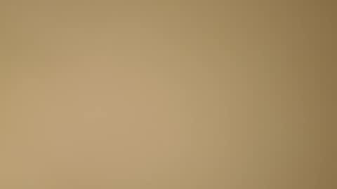 color233 online show from 11.08.25