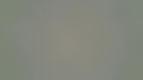 ANR Mommy online show from 02.01.26