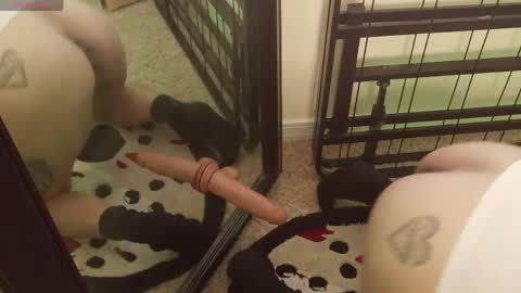 controllercutie online show from 03.20.26