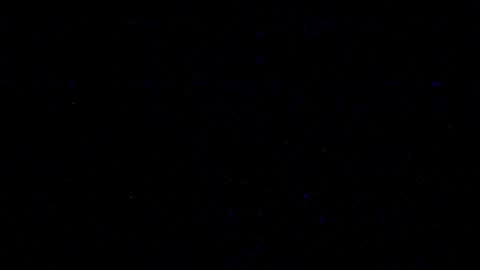 Snapshot of cookieforme chatting on 02.19.25 cookieforme online show from 02.19.25