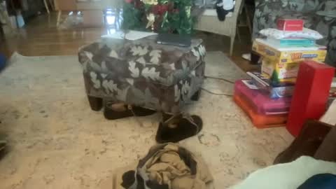 whatever you want it to be online show from 12.17.24