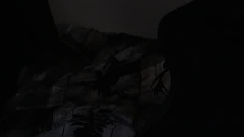 cooley77701 online show from 02.24.26