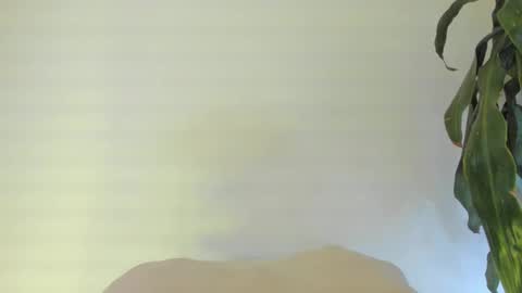 Coral princex online show from 02.24.26