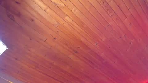 Coraline online show from 01.18.25