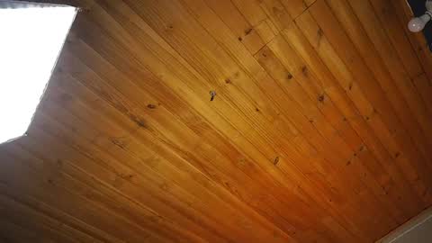 Coraline online show from 04.14.26