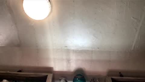 Snapshot of countryjoe2002 chatting on 12.18.25 countryjoe2002 online show from 12.18.25