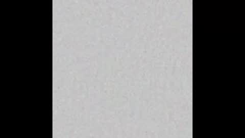 Geneva online show from 01.11.26