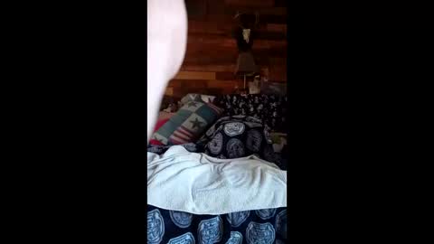 craig232301327629 online show from 03.02.26