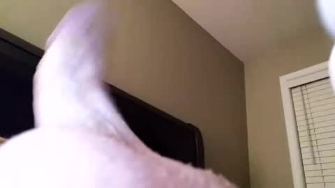 Snapshot of cranada777 chatting on 12.31.24 Cranada777 online show from 12.31.24