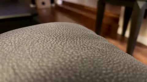 Snapshot of cranada777 chatting on 02.27.26 Cranada777 online show from 02.27.26