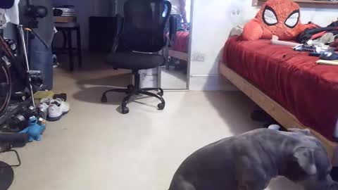 Snapshot of crazy4feetmanic chatting on 04.16.26 drbucknaked online show from 04.16.26