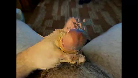 Crazycock online show from 03.23.26