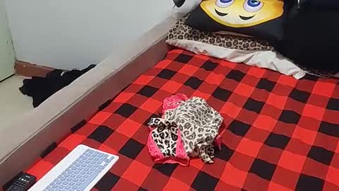 creamyhub online show from 12.01.25