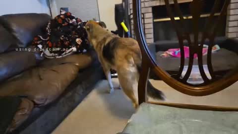 The hopeless romantic online show from 09.27.25