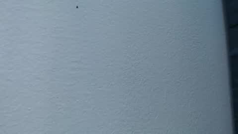 Snapshot of cristal_smith06 chatting on 02.15.25 Hanna online show from 02.15.25