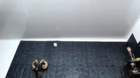 Snapshot of cristal_smith06 chatting on 02.26.26 Hanna online show from 02.26.26