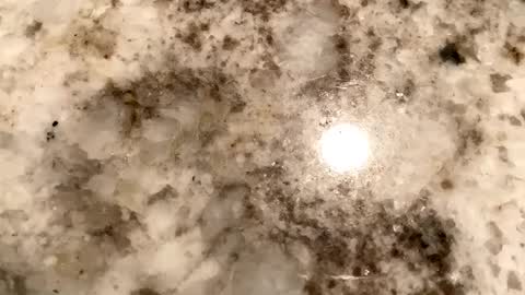 Crushit online show from 02.06.25